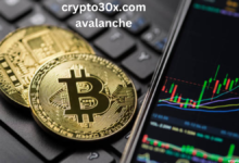 crypto30x.com avalanche