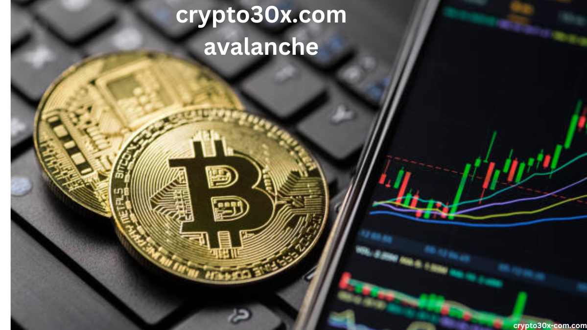 crypto30x.com avalanche